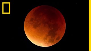 Lunar Eclipse 101  National Geographic [upl. by Ajaj277]