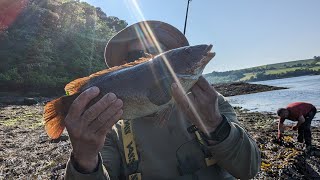 Fishing the Menai Straits BIG wrasse [upl. by Jedlicka]