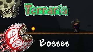 Terraria 14  The Guide to ALL Bosses [upl. by Merci]