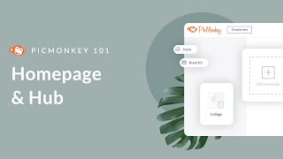 PicMonkey 101  The PicMonkey Homepage amp Hub [upl. by Balas]