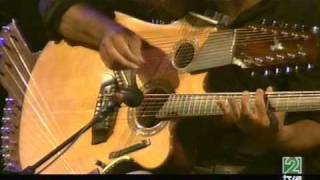 Pat Metheny Pikasso 42string guitar [upl. by Airamanna831]