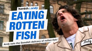 Eating Rotten Fish  Hamish amp Andy [upl. by Bate653]