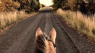 ASMR Horses Hooves On Dirt Road Creaking Saddle Leather Sunset Wide Open Country Horseback Riding [upl. by Yorle]