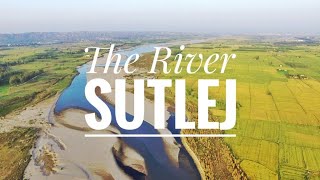 Sutlej River  Punjab India [upl. by Orose]