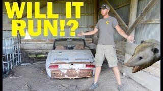 Abandoned Fiat First Start in 30 Years  Part 1 [upl. by Doomham417]