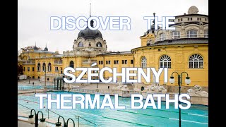 Dive into the famous Széchenyi Thermal Baths in Budapest [upl. by Anihta203]