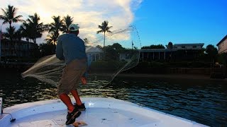 CAST NETTING WILD GOLDEN SHINERS OVER 500 IN 1 THROW [upl. by Dnalyag928]