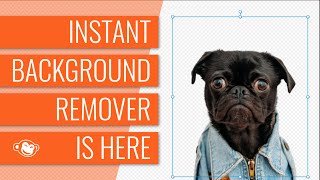 Instant Background Remover From PicMonkey [upl. by Daphene]