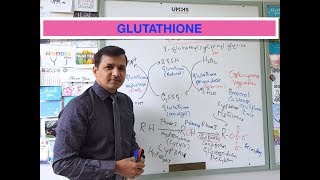 Glutathione Biochemical Function and Sources [upl. by Ajed]