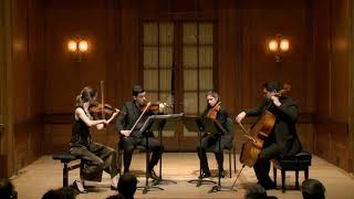 Vera Quartet HAYDN — Quartet in G major Op 76 No 1 [upl. by Guzel580]