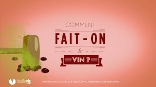 Comment faiton le vin   toutlevincom [upl. by Zingg]