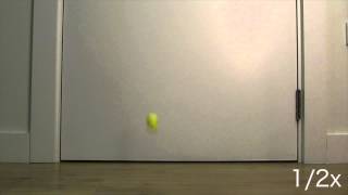 Bouncing Ball Reference [upl. by Wilcox]