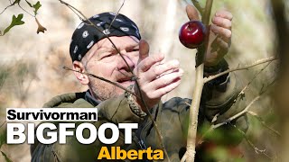 Survivorman Bigfoot  Episode 2  British Columbia  Les Stroud  Todd Standing [upl. by Elak]