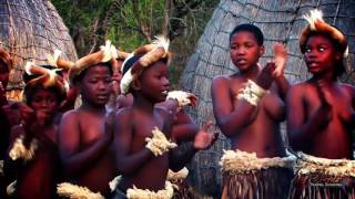 Beautiful Traditional African Zulu Dancing Africa Travel Channel [upl. by Hayott515]