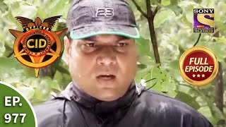 CID  सीआईडी  Ep 977 Jungle Mystery  Full Episode [upl. by Okoyk]