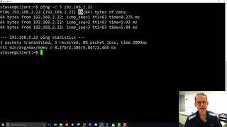 ping for Network Connectivity Testing in Linux [upl. by Amias128]