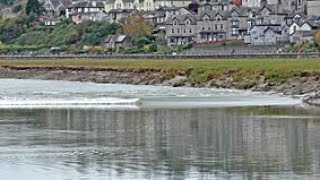 Tidal Bore on the River Kent at GrangeOverSands [upl. by Enrobialc]