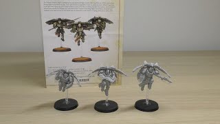 Legio Custodes  Venatari  Review HH amp WH40K [upl. by Leumel]