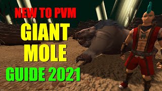 Beginners Guide to the Giant Mole 2021  Runescape 3  Ironman Friendly [upl. by Cleland872]