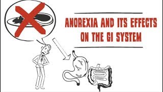 How anorexia affects the digestive system [upl. by Rovelli958]