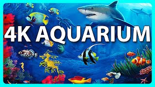 The Best 4K Aquarium for Relaxation 🐠 Relaxing Oceanscapes  Sleep Meditation 4K UHD Screensaver [upl. by Ardien838]