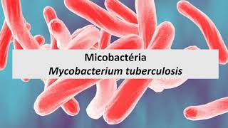 Microbiologia Médica Mycobacterium tuberculosis [upl. by Occir276]