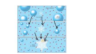 Bergeron processIce Crystal TheoryExplained [upl. by Kowalski]