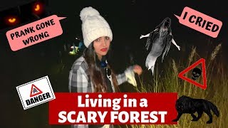 Living 24 HOURS in FOREST Prank gone wrong [upl. by Ninnahc438]