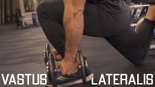 How To Grow Your Outer Quads  Vastus Lateralis Exercies “Quad Sweep” [upl. by Connor]