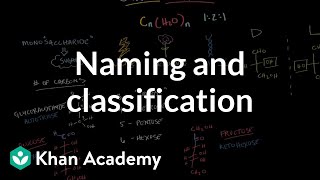 Carbohydrates  naming and classification  Chemical processes  MCAT  Khan Academy [upl. by Wardlaw526]