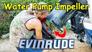 How To Change An Evinrude Outboard Water Pump Impeller [upl. by Aria223]