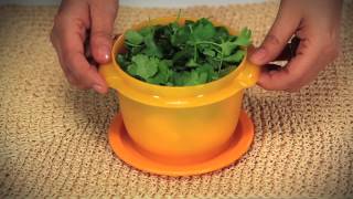 Tupperware One Touch Bowl [upl. by Ecaidnac]