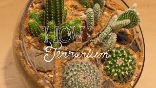 Make a Cactus Terrarium  How To Terrarium ep 4 [upl. by Nomed656]