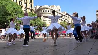 Sardanes a Barcelona Mercè 2018 Colla Sardanista Mare Nostrum [upl. by My]