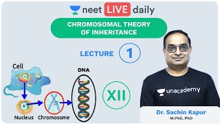 Genetics  Lecture 1  Chromosomal Theory  Unacademy NEET  LIVE DAILY  NEET Biology  Sachin Sir [upl. by Ja]