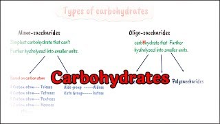 carbohydrates metabolism biochemistry  introduction to carbohydrates biochemistry [upl. by Qulllon273]