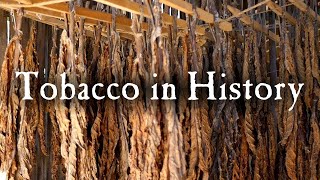 Growing Tobacco In Early America [upl. by Scibert405]