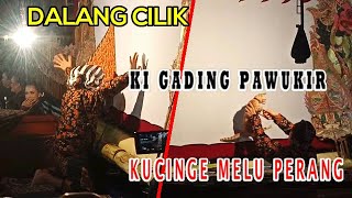 GADING PAWUKIR  GERRRKUCINGE DIAJAK PERANG [upl. by Enamrahs]