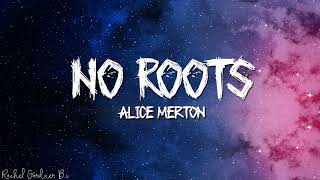 Alice Merton – No Roots Lyrics [upl. by Kenzie784]