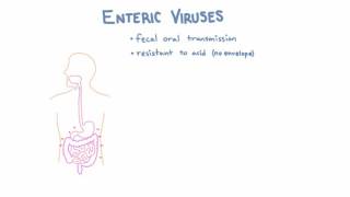 Introduction to Enteric Viruses [upl. by Nylesor]