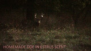 How to Make Homemade Doe in Estrus Scent [upl. by Ahar648]