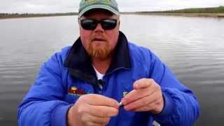 How to double hook a shiner minnow with Bro [upl. by Anillehs561]