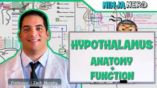 Hematology  Blood Typing [upl. by Yt]