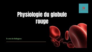 métabolisme du globule rouge [upl. by Hy755]