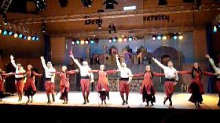 Palestinian dabke [upl. by Attenyl207]