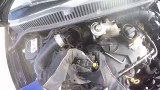 Volkswagen Polo 14 TDI Clean EGR Valve  Light Motor [upl. by Dyob]