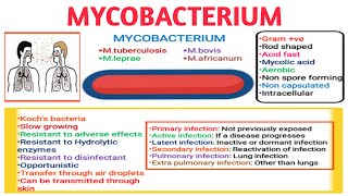 Mycobacterium II Type of infections II Medical microbiology Part1 [upl. by Elorac]