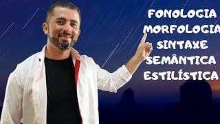 GRAMÁTICA FONOLOGIA MORFOLOGIA SINTAXE SEMÂNTICA E ESTILÍSTICA [upl. by Hibbert]