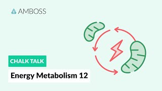 Energy Metabolism  Part 12 Ketone Body Metabolism [upl. by Ahsiloc]