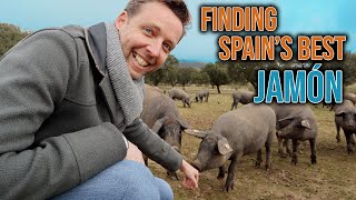 Where Does Spains Best Jamón Come From [upl. by Nahsed]